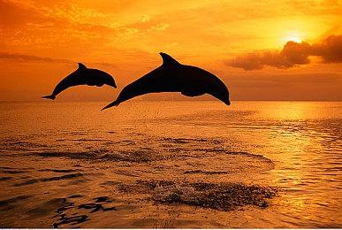 《生化：维罗妮卡》粉丝重制版新演示 还以为是官方重制